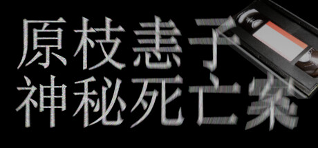 原枝恚子神秘死亡案（Case of the mysterious death of Keiko Haraeda）_大玩家GAMES